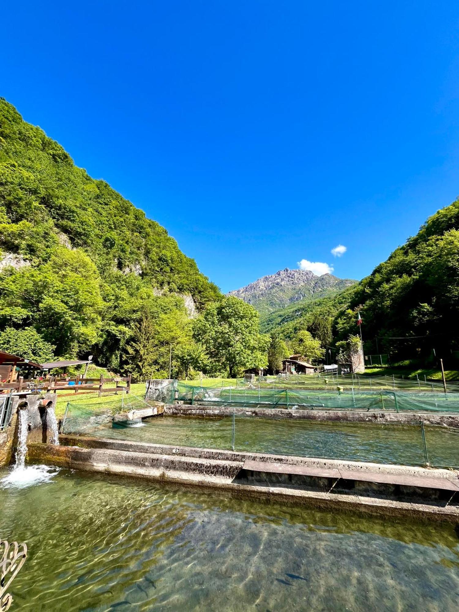 Agriturismo La Vecchia Chioderia Grandola ed Uniti Ngoại thất bức ảnh