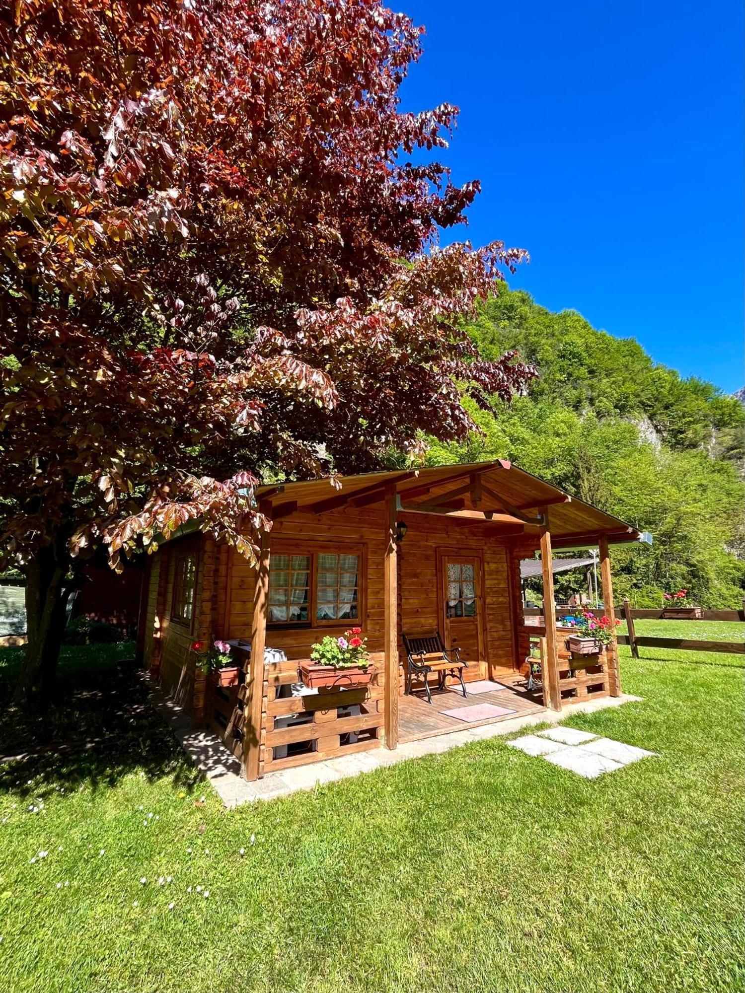 Agriturismo La Vecchia Chioderia Grandola ed Uniti Ngoại thất bức ảnh