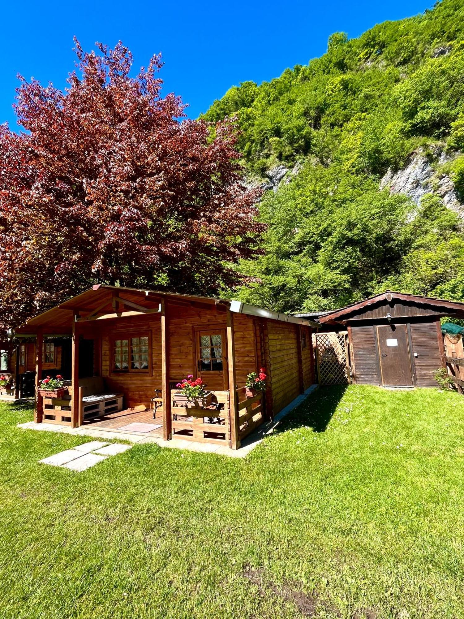 Agriturismo La Vecchia Chioderia Grandola ed Uniti Ngoại thất bức ảnh