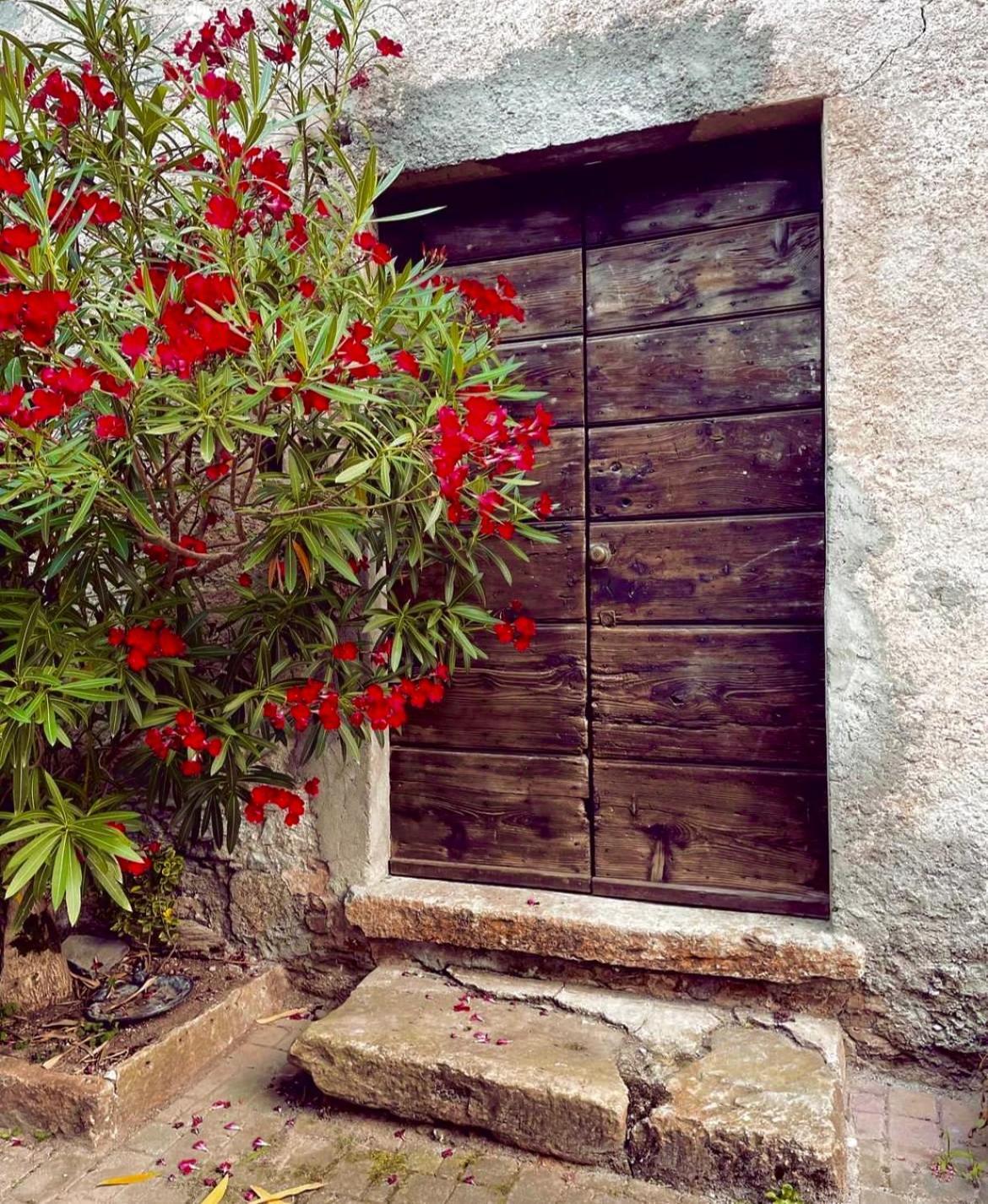 Agriturismo La Vecchia Chioderia Grandola ed Uniti Ngoại thất bức ảnh