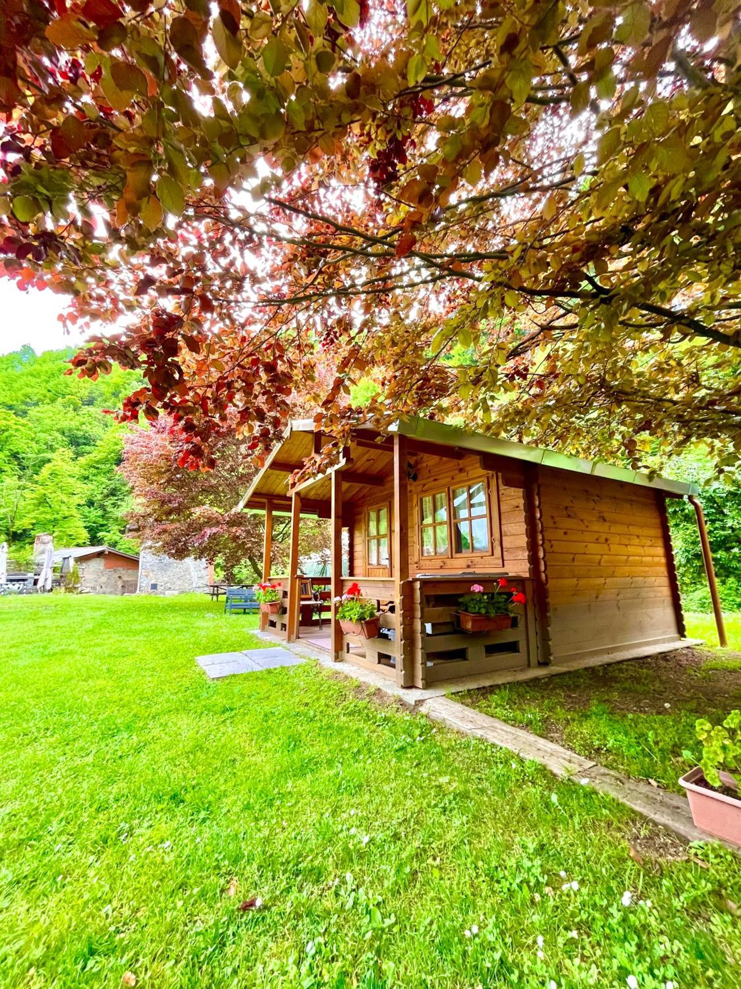 Agriturismo La Vecchia Chioderia Grandola ed Uniti Ngoại thất bức ảnh