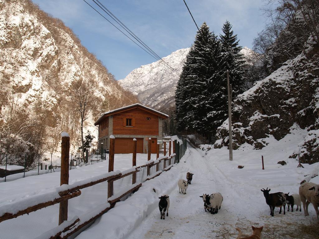Agriturismo La Vecchia Chioderia Grandola ed Uniti Ngoại thất bức ảnh