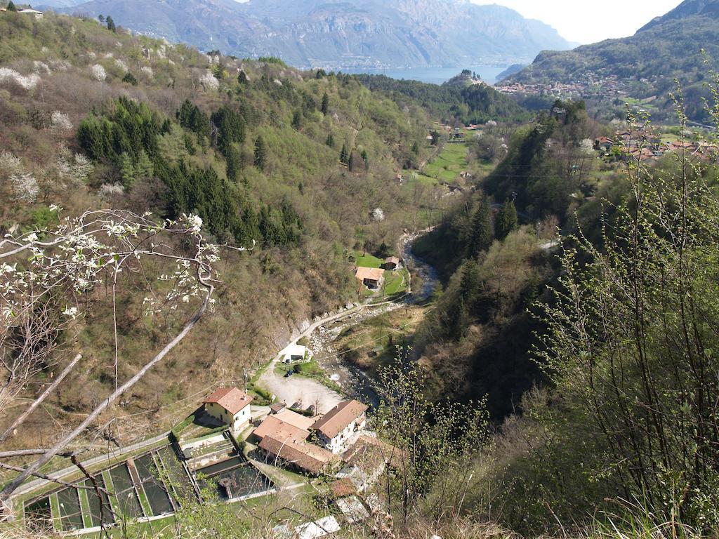 Agriturismo La Vecchia Chioderia Grandola ed Uniti Ngoại thất bức ảnh