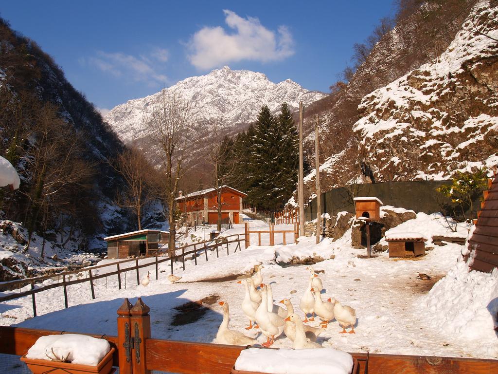 Agriturismo La Vecchia Chioderia Grandola ed Uniti Ngoại thất bức ảnh